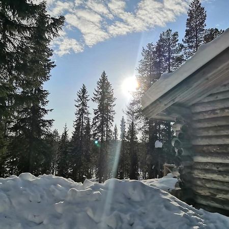 Mantytupa Lodge 소티 외부 사진