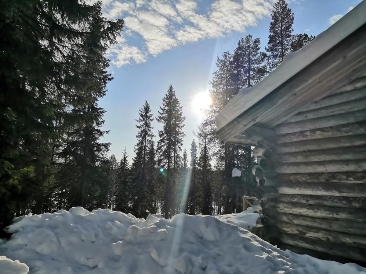 Mantytupa Lodge 소티 외부 사진
